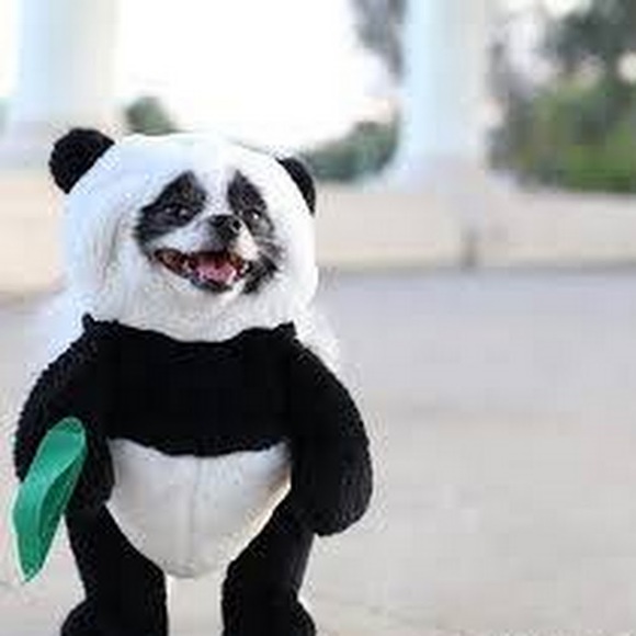 Meet your Posher, Call - Picture 1 of 1